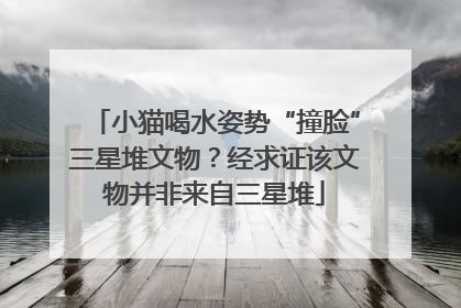 小猫喝水姿势“撞脸”三星堆文物？经求证该文物并非来自三星堆